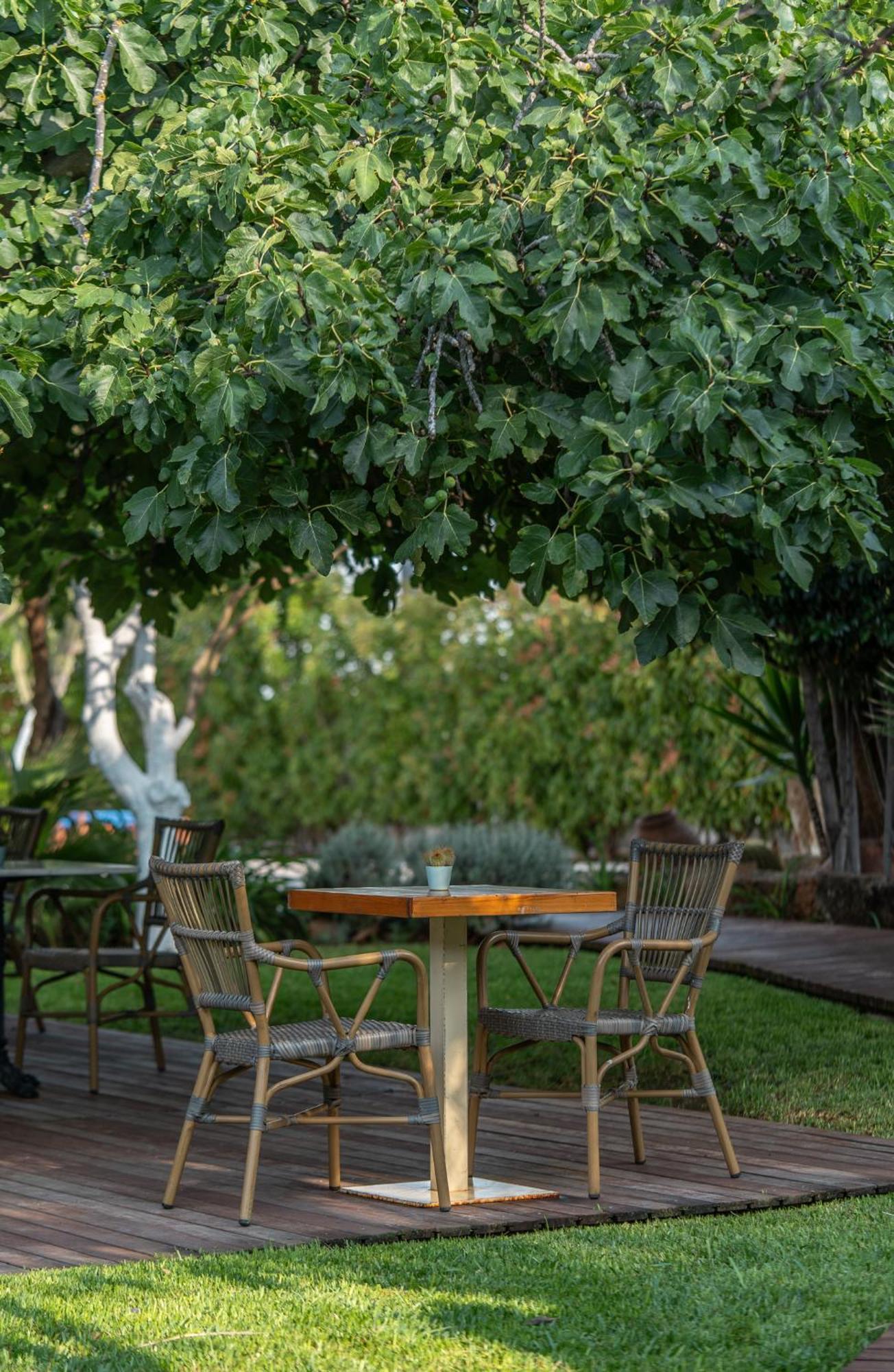 Boho Suites Denia (Adults Only) المظهر الخارجي الصورة